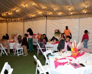 IMG_0031